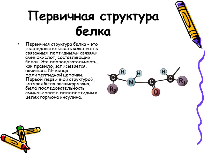 Первичная структура белка Первичная структура белка - это последовательность ковалентно связанных пептидными связями аминокислот,